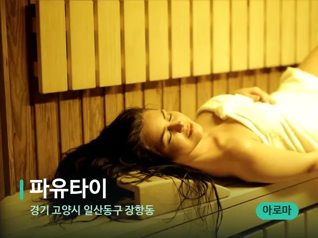 경기 고양시 일산동구 장항동 파유타이 — 웰니스 스파 공간