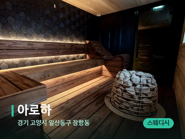 경기 고양시 일산동구 장항동 아로하 — 웰니스 스파 공간